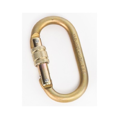 Steel Locking Carabiner - MBS: 25 kN  PCA-1276